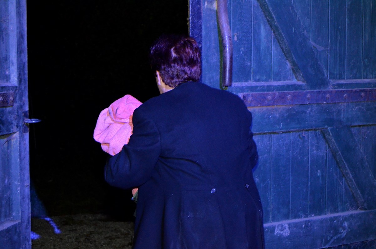 Ginds, tussen de netels