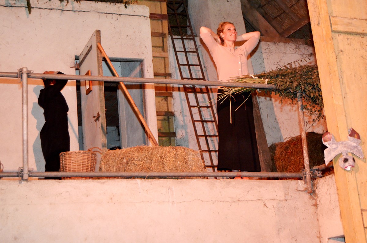 Ginds, tussen de netels