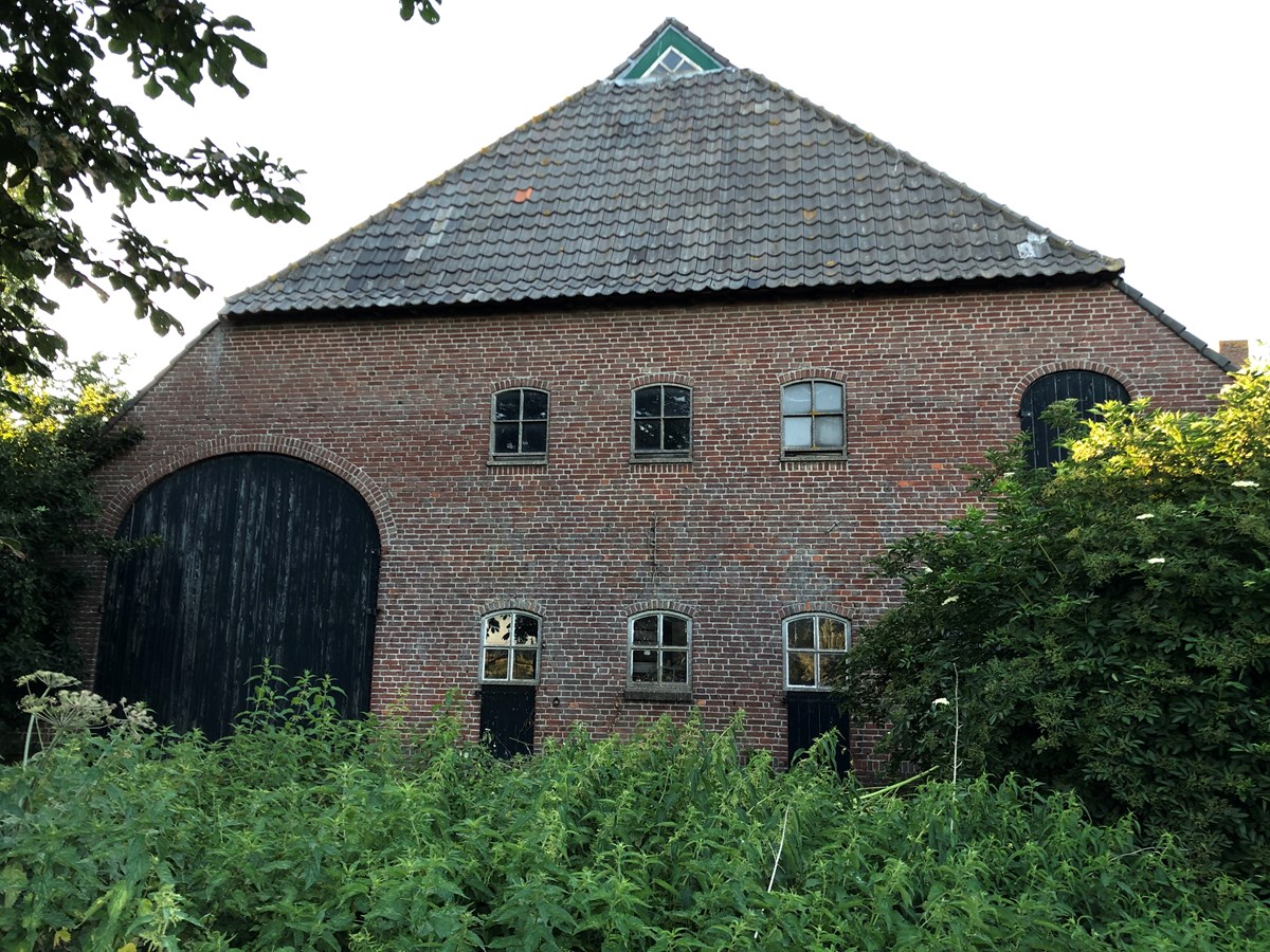 Ginds, tussen de netels