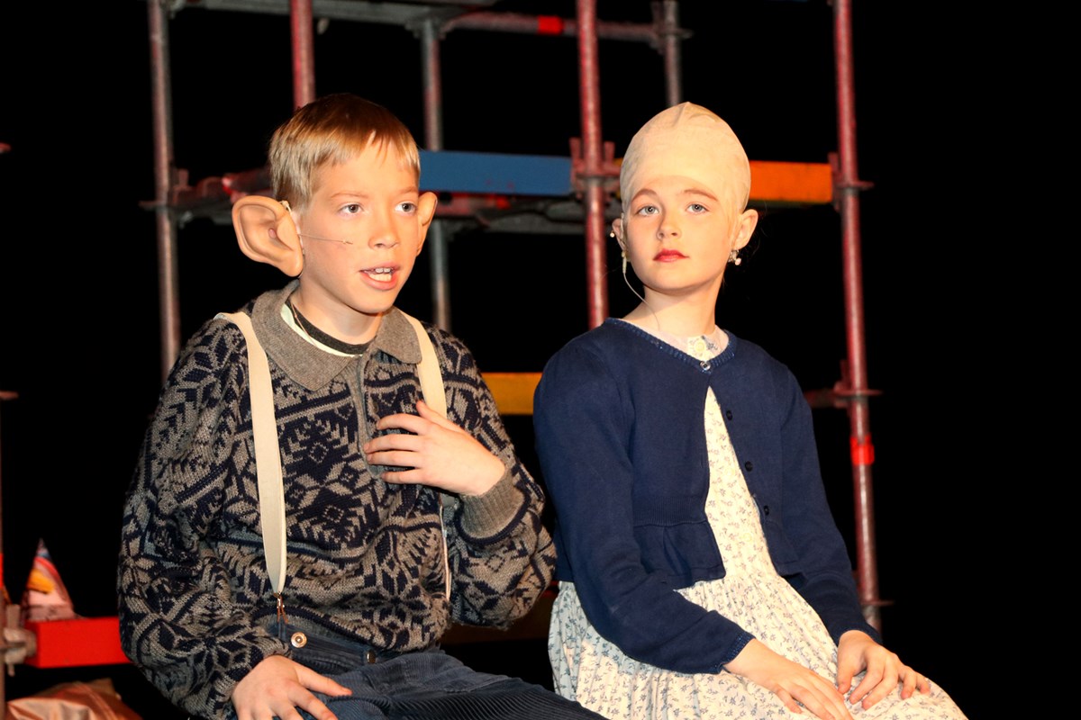 De Club van Lelijke Kinderen